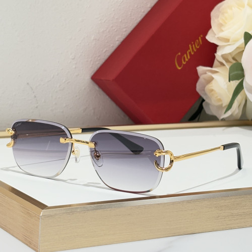 Cartier Sunglasses CT8823 SM051