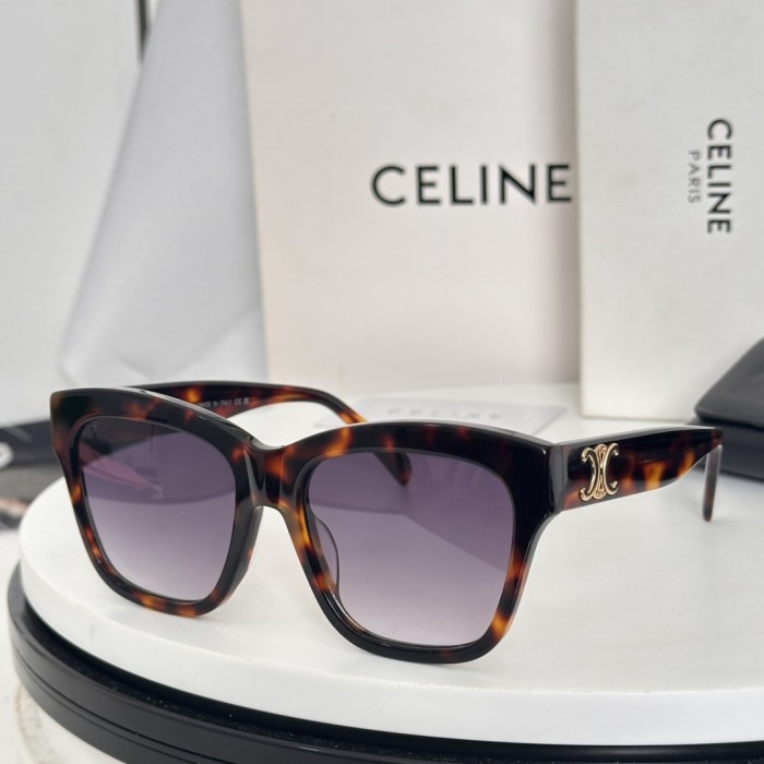Celine Sunglasses CL40253F SM041