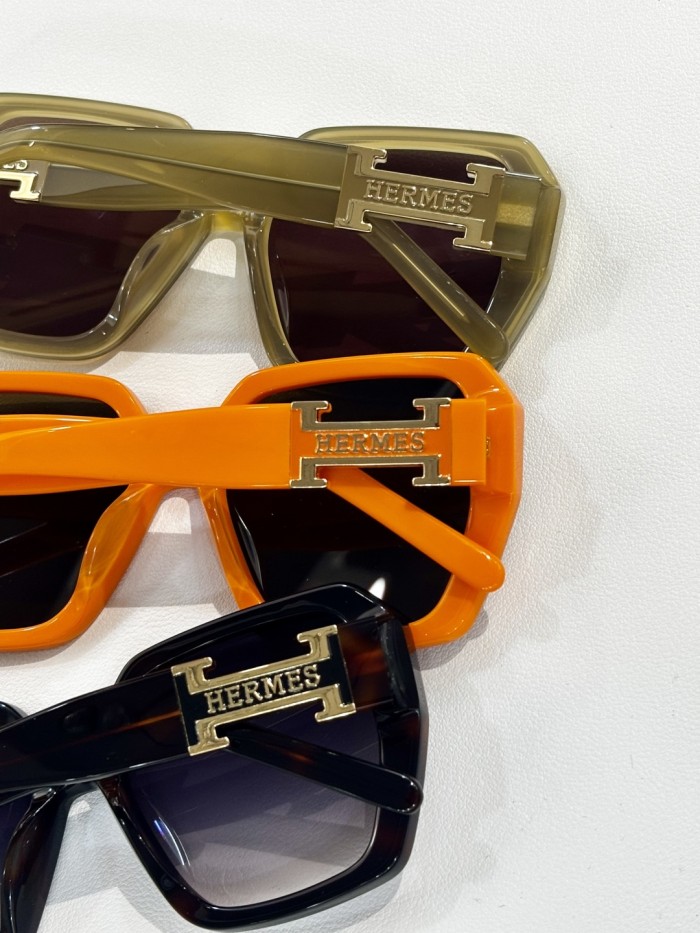 Hermes Sunglasses HS1906 SM061