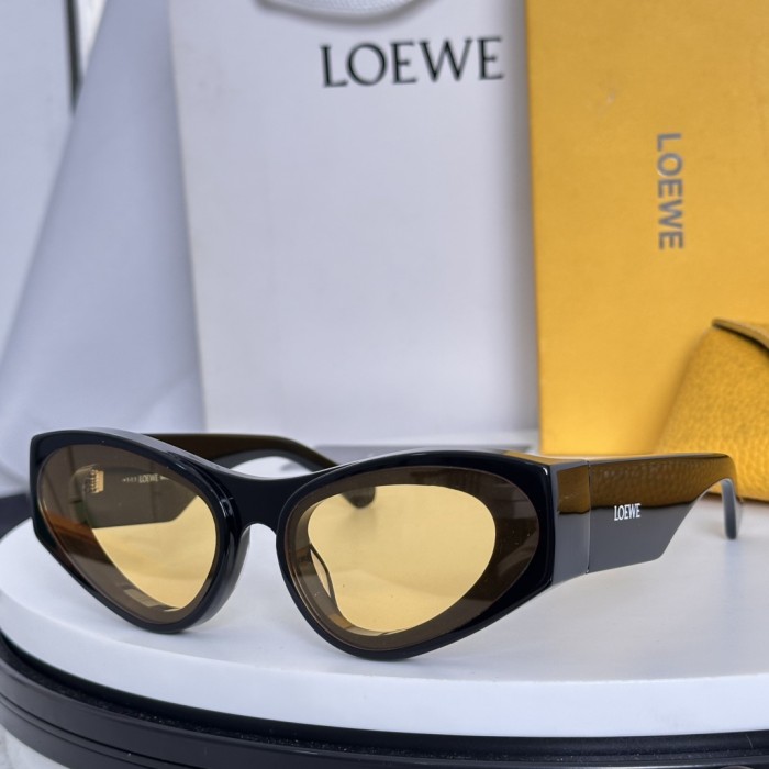 Loewe Sunglasses LW40171U SM051