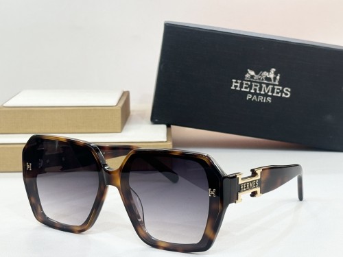 Hermes Sunglasses HS1906 SM061