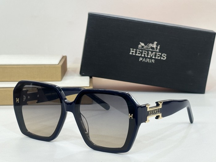 Hermes Sunglasses HS1906 SM061