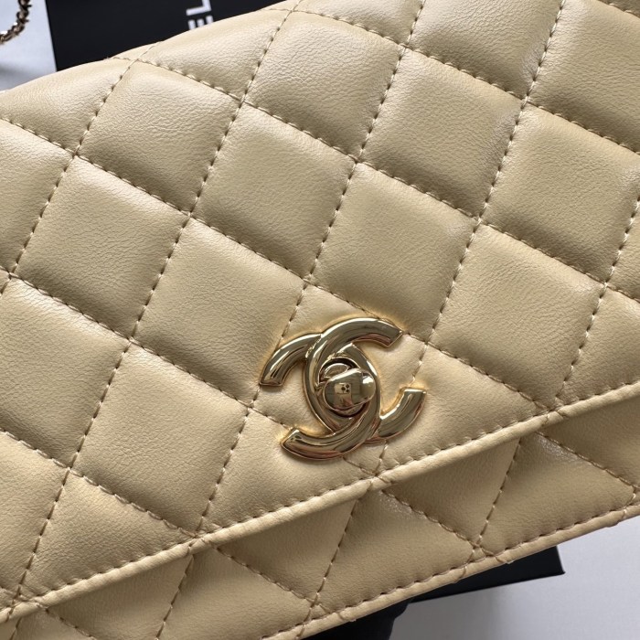 Chanel Chain Purse 33818 LM031 19cm