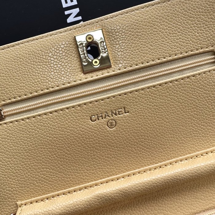 Chanel Chain Purse 33818 LM031 19cm