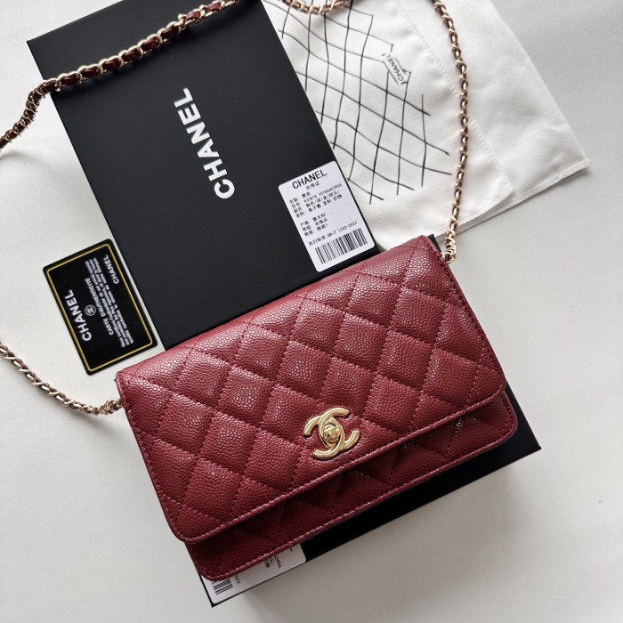 Chanel Chain Purse 33818 LM031 19cm