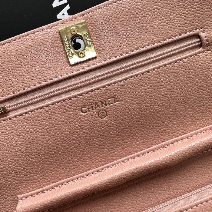 Chanel Chain Purse 33818 LM031 19cm
