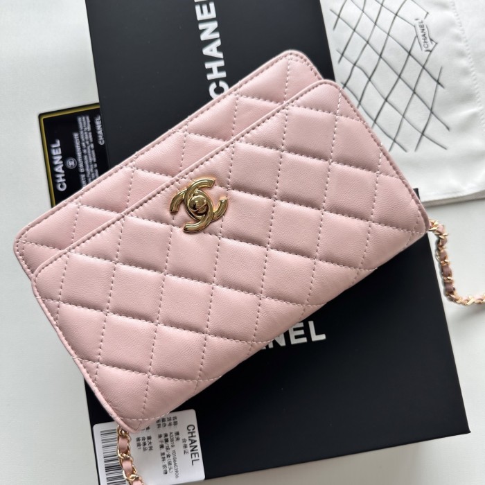 Chanel Chain Purse 33818 LM031 19cm