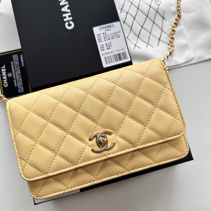 Chanel Chain Purse 33818 LM031 19cm