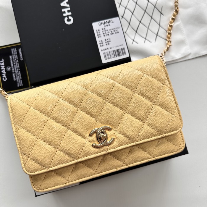 Chanel Chain Purse 33818 LM031 19cm