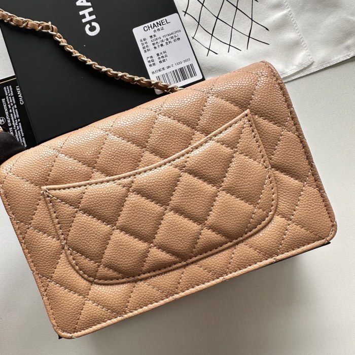 Chanel Chain Purse 33818 LM031 19cm