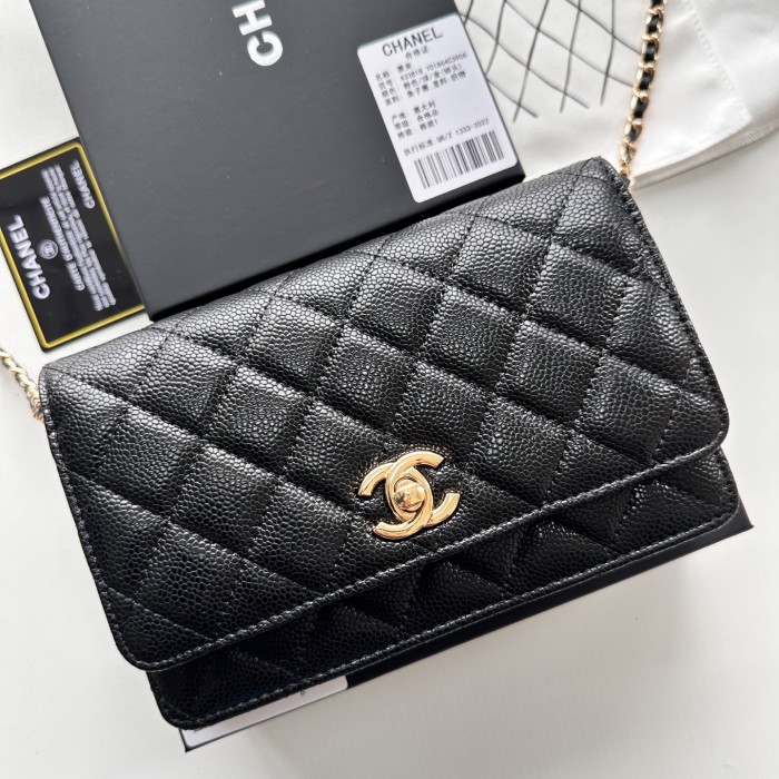 Chanel Chain Purse 33818 LM031 19cm
