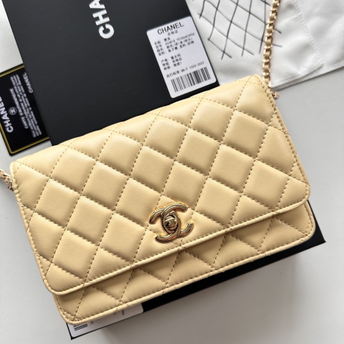 Chanel Chain Purse 33818 LM031 19cm