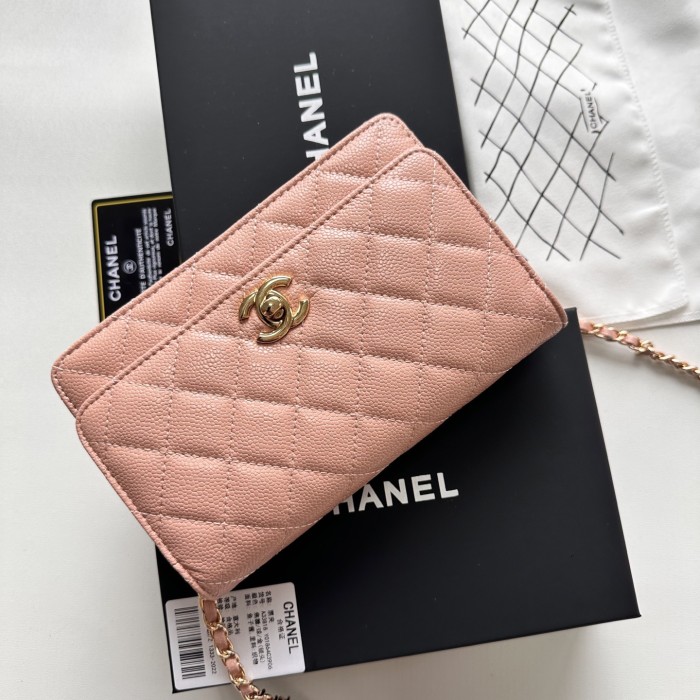 Chanel Chain Purse 33818 LM031 19cm