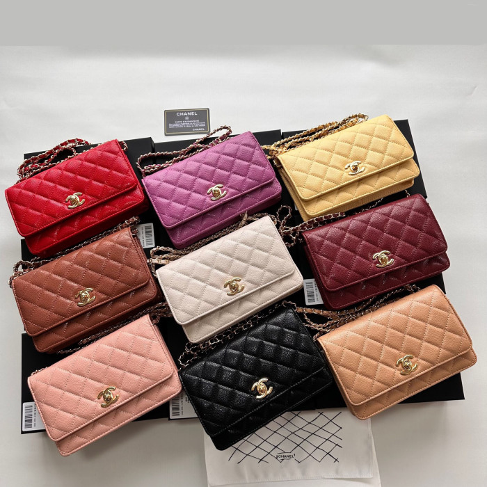 Chanel Chain Purse 33818 LM031 19cm