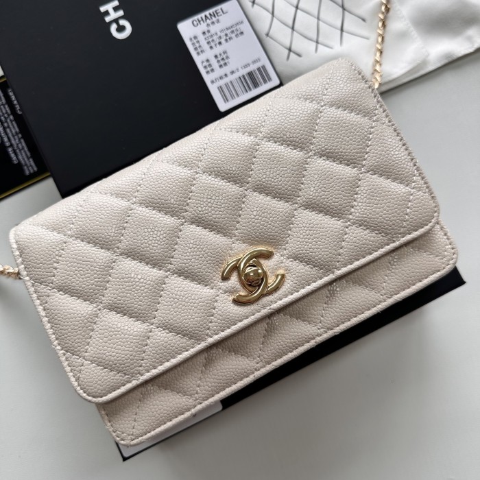 Chanel Chain Purse 33818 LM031 19cm