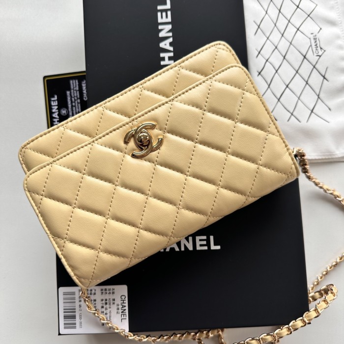 Chanel Chain Purse 33818 LM031 19cm