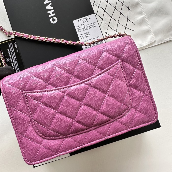 Chanel Chain Purse 33818 LM031 19cm