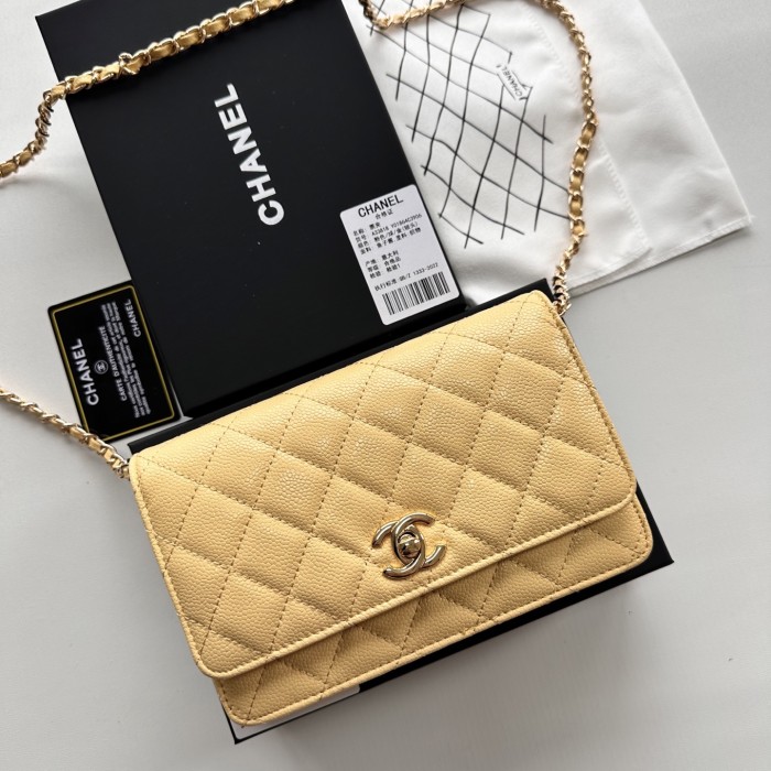 Chanel Chain Purse 33818 LM031 19cm