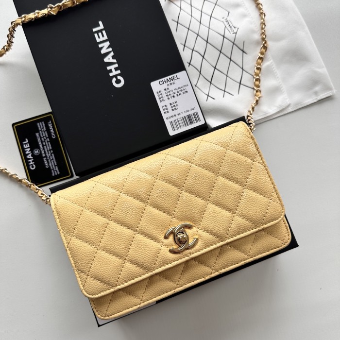 Chanel Chain Purse 33818 LM031 19cm