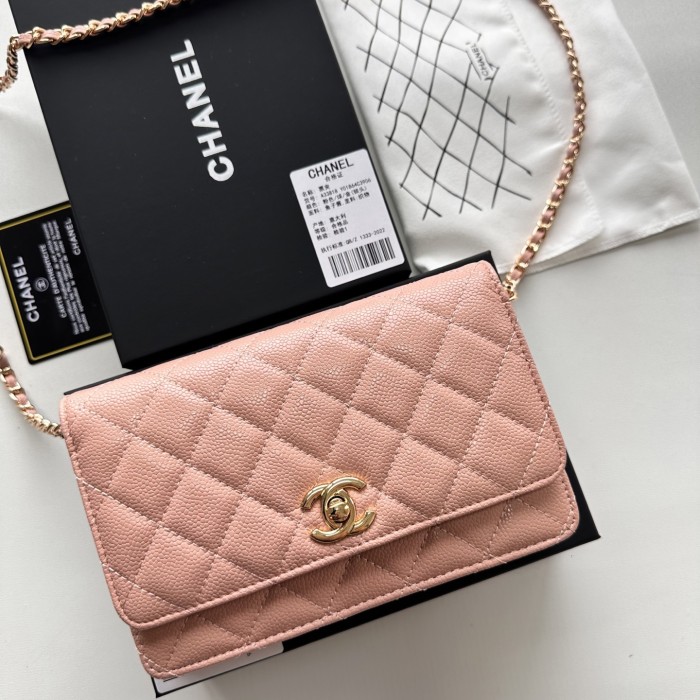 Chanel Chain Purse 33818 LM031 19cm