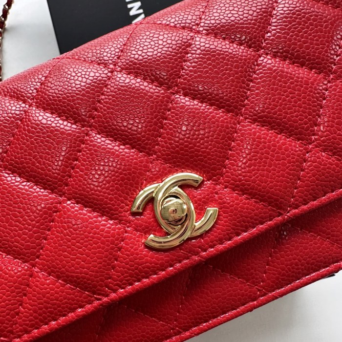 Chanel Chain Purse 33818 LM031 19cm