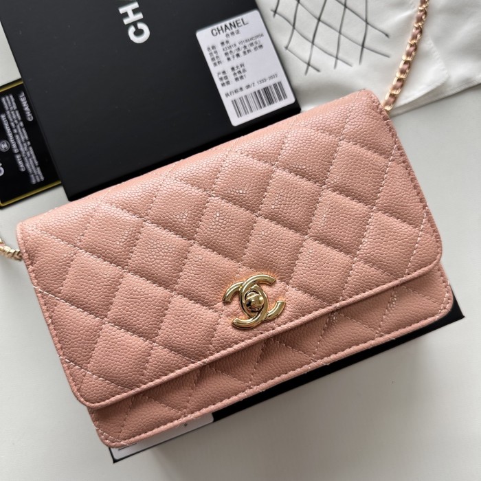 Chanel Chain Purse 33818 LM031 19cm