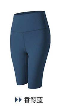 alo Yoga Pants DK05