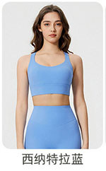 alo Yoga tops JY2010