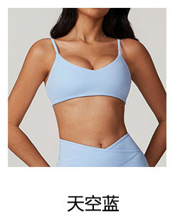 alo Yoga tops DWX8799