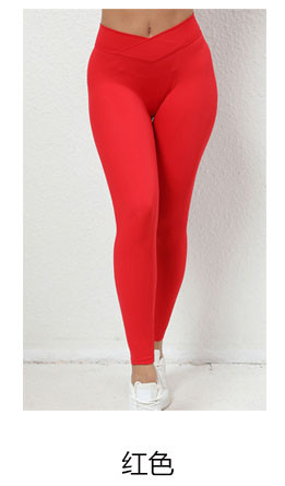 alo Yoga Pants CK1820
