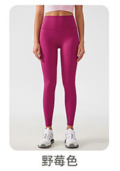 alo Yoga Pants AG003