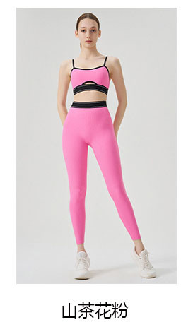 alo Yoga Suit TZ4628