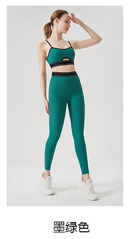 alo Yoga Suit TZ4628