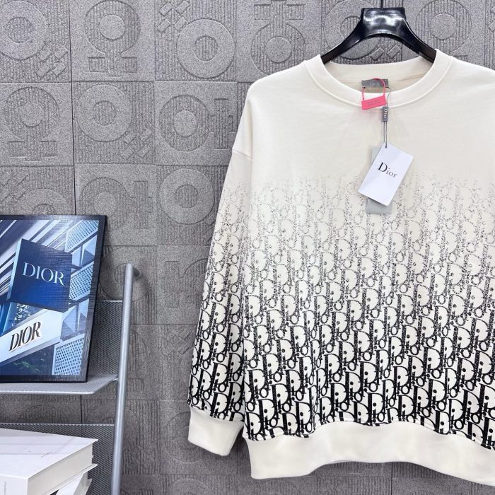 Dior Sweatshirts 003