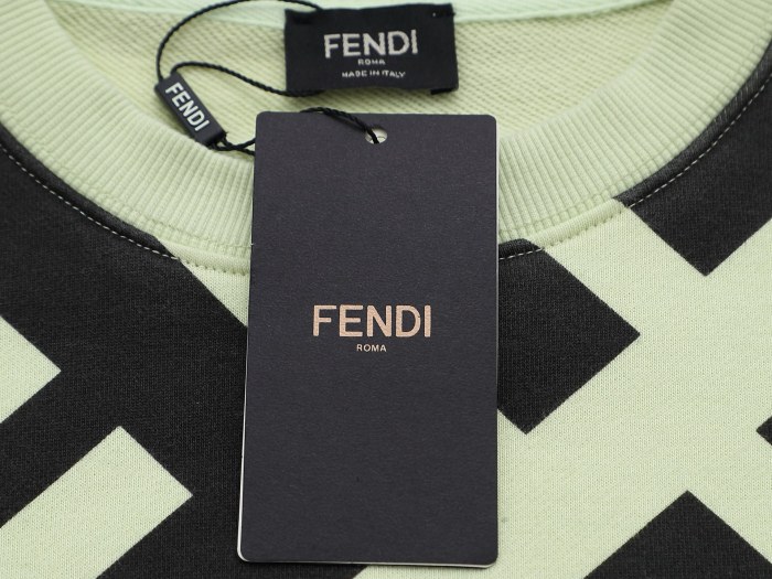 Fendi Sweatshirts 003