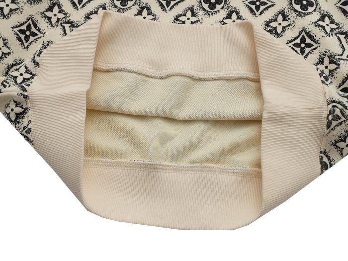 Louis Vuitton Sweatshirts 006