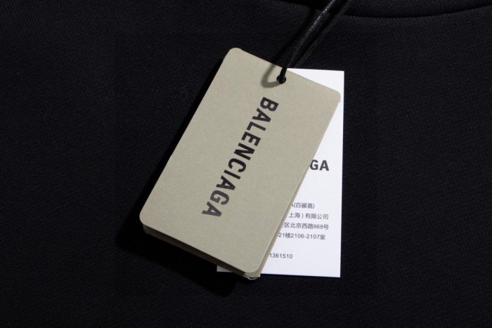 Balenciaga Sweatshirts 068