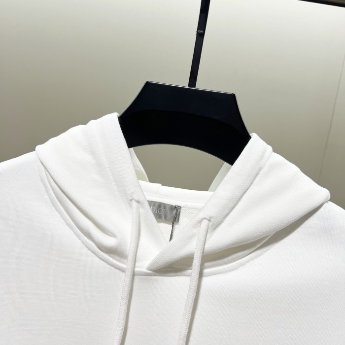 Dior Sweatshirts 009