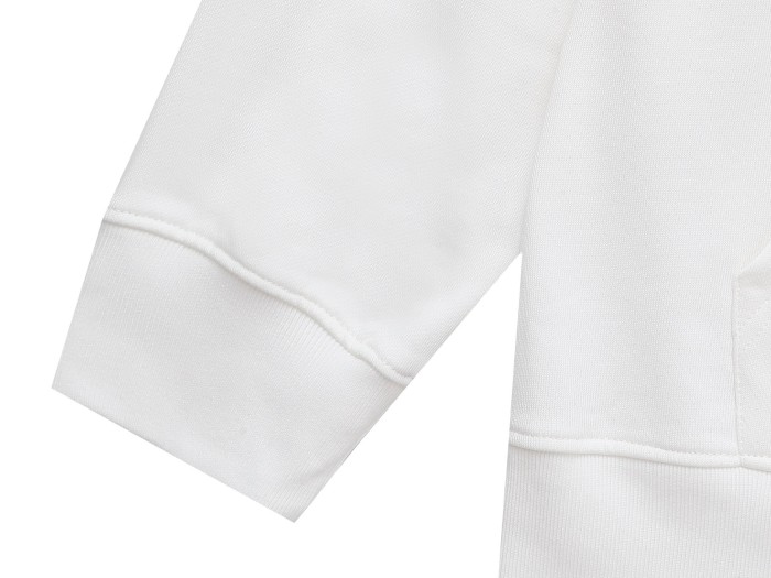 Louis Vuitton Sweatshirts 055