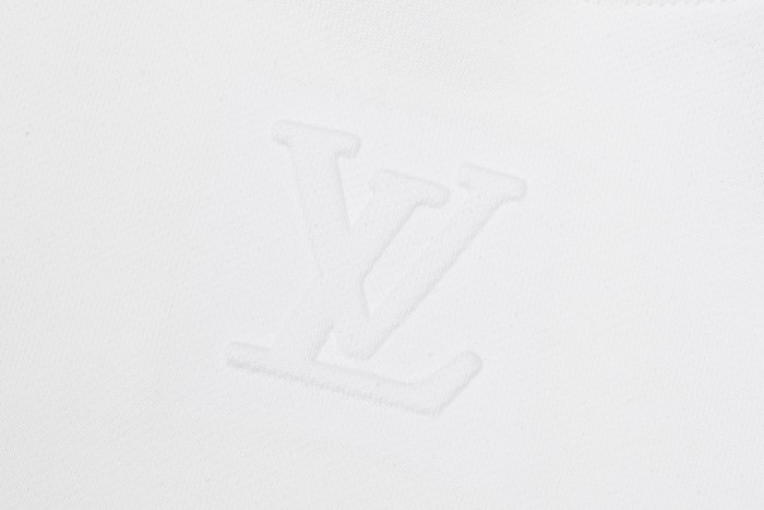 Louis Vuitton Sweatshirts 057