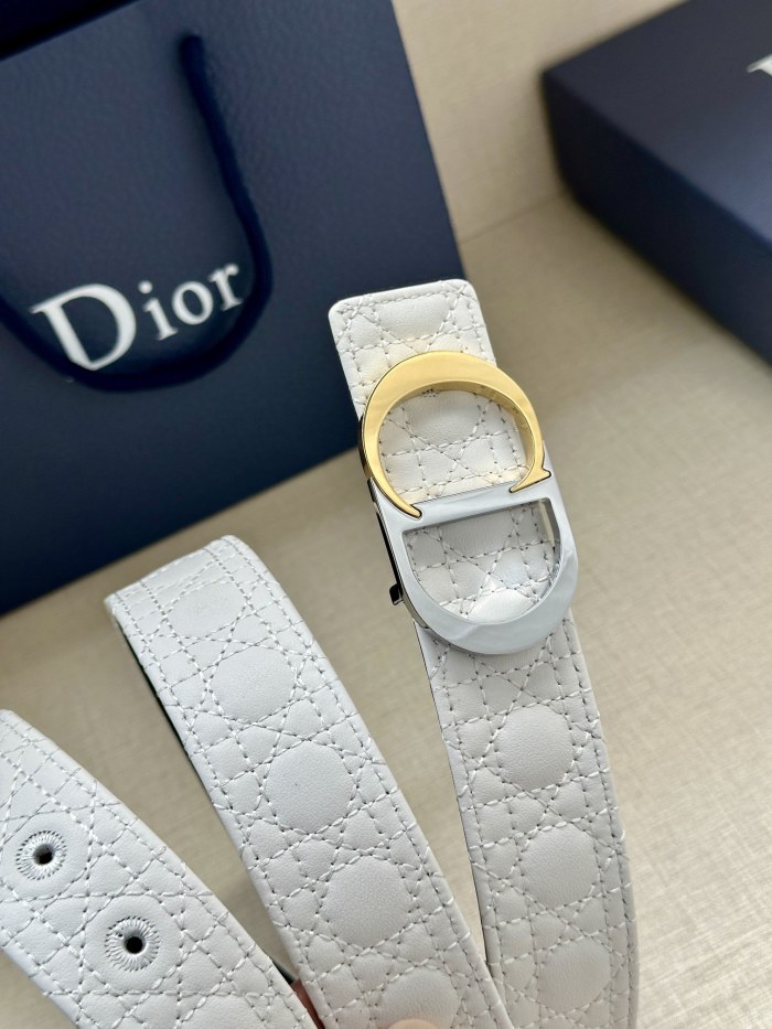 Dior Belt 017 3.5cm