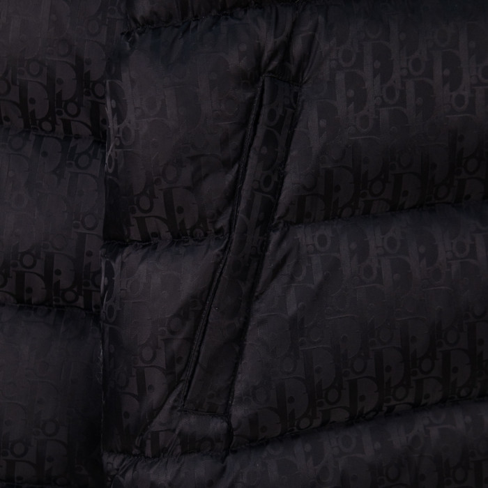 Dior Down Jacket 001