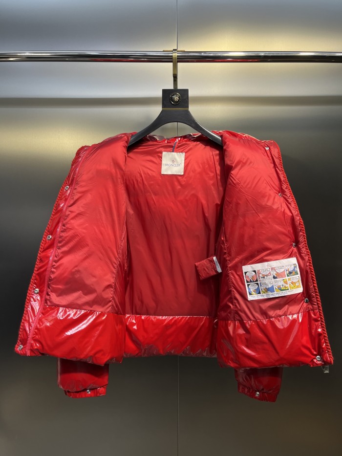 Moncler Down Jacket 003