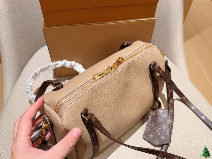 LV Express Bag 223 DB581 25cm
