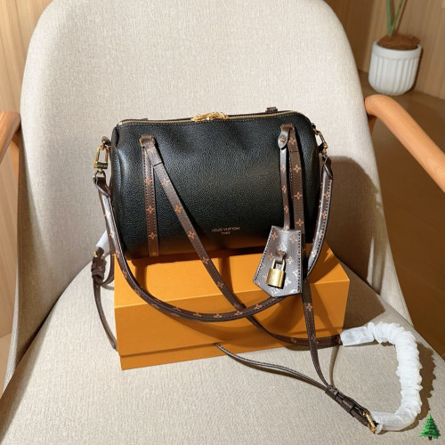 LV Express Bag 223 DB581 25cm