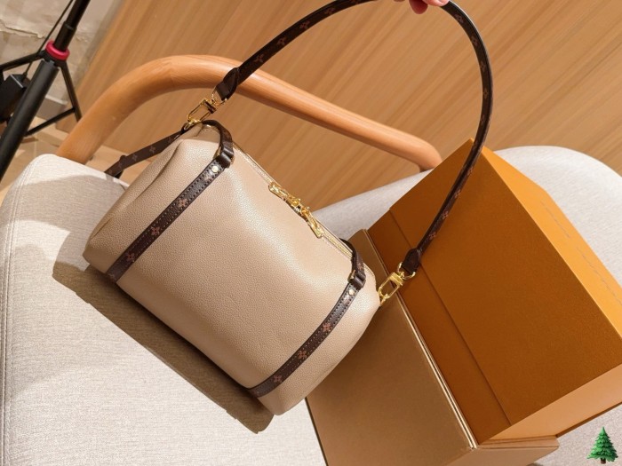 LV Express Bag 223 DB581 25cm