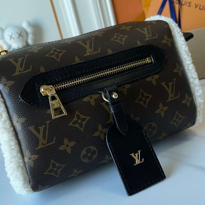 LV Teddy Mitt Bag M13088 LM051 27cm