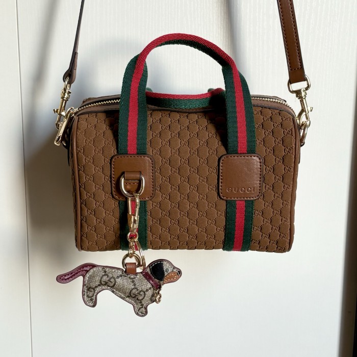 Gucci Ophidia Bag 859975 HH081 20cm