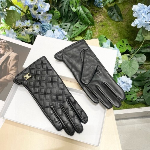 Celine Gloves 004