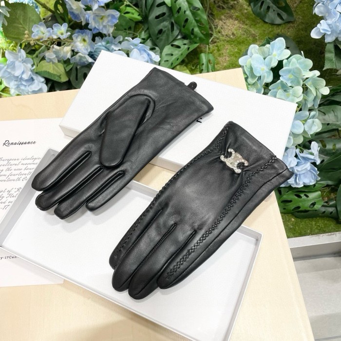 Celine Gloves 005